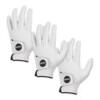 Ping Tour 251 Golf Glove White (Right Handed Golfer) Multi Buy