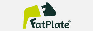 Fat Plate ArcMat Slight Stroke Path Trainer