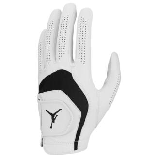 Nike Jordan Tour Leather Golf Gloves White/Black (Right Handed Golfer)