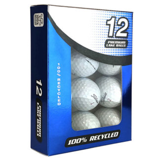 Titleist Pro V1x Grade B Lake Golf Balls White